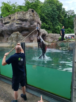 Zoo 2025 - 4.jpg